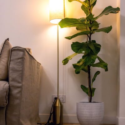 lampe