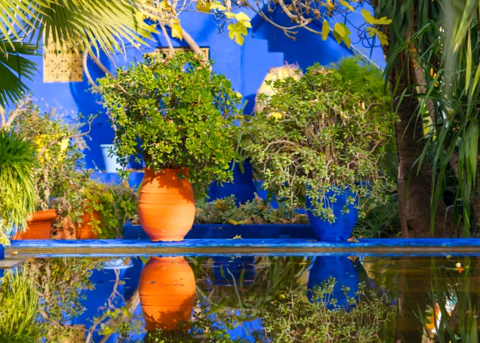 orange